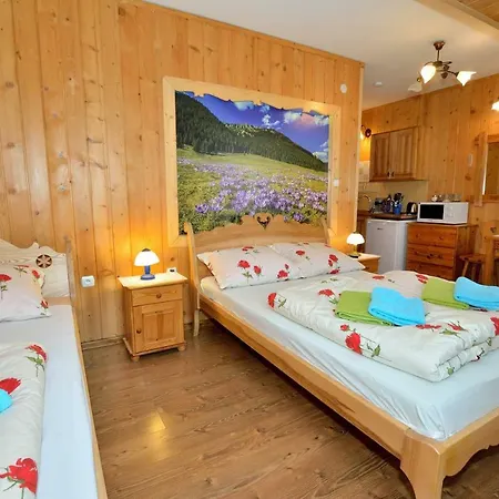 Wesoła Chatka - Krupówki 37a Zakopane Zewnętrze zdjęcie